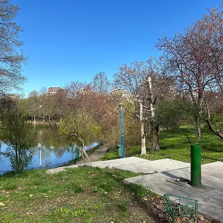 Obor Hidden Gem Bucharest