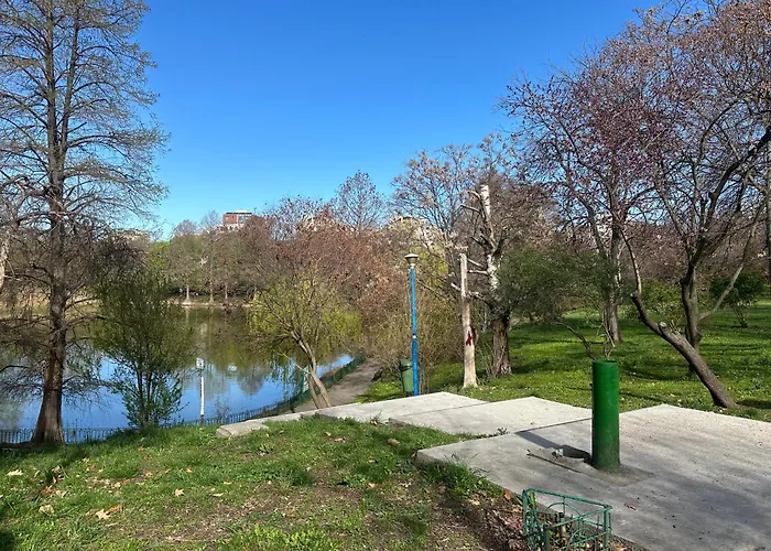 Obor Hidden Gem Bucharest